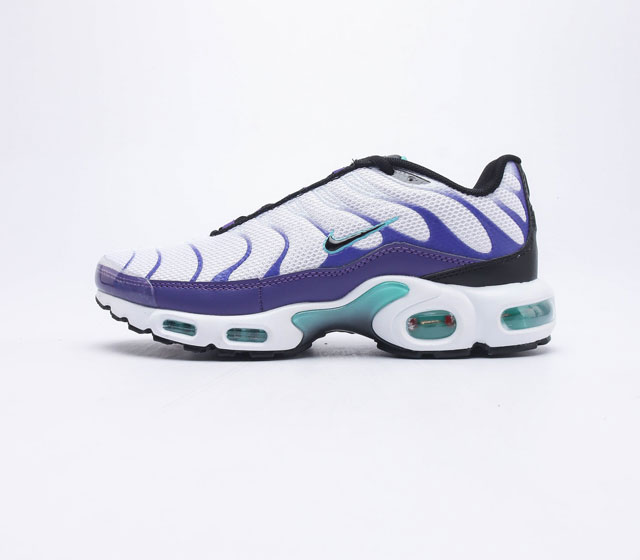 NIKE AIR MAX PLUS DM0032 40-46 EWFD1126ZZL