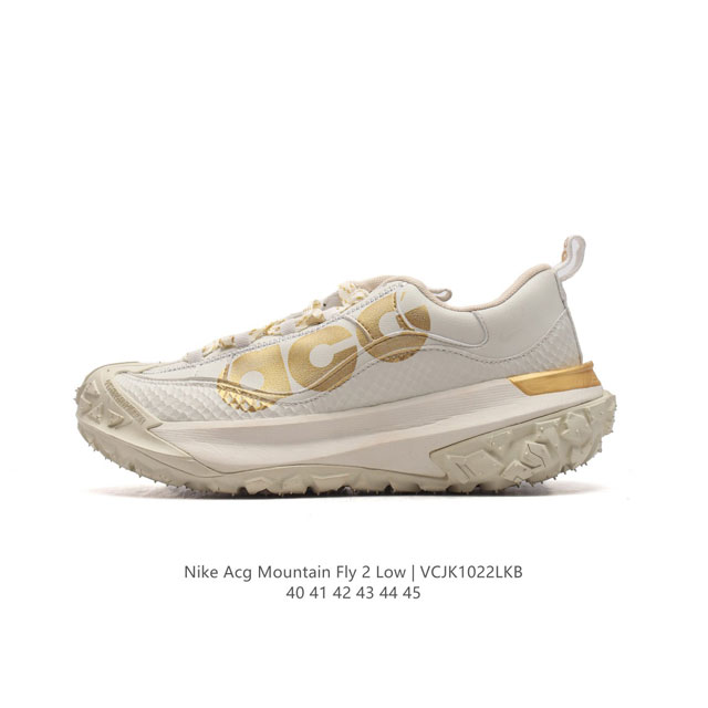 Nike ACG Mountain Fly 2 Low 2 GORE-TEX React React DDD AH8050 DDD 40-45 DDD VCJ