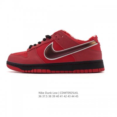Authentic Nike Nb series sports skateboarding shoes. A renowned Boston shoe stor