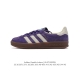 Adidas Originals Gazelle Indoor , , , , , 1970 Gazelle Indoor T Gazelle Gucci x