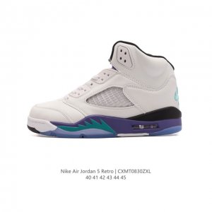 Nike Air Jordan 5 Retro Aj5 5 Aj5 5 5 Team Jordan Air Jordan 1985 nike nba Mich